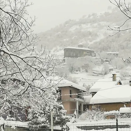 Le Joli Rosier 누스